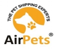 Top 10 Pet Relocation Agency in Mumbai